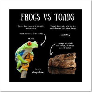 Animal Facts- Frogs vs Toads Posters and Art